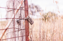 padlock on a metal gate 