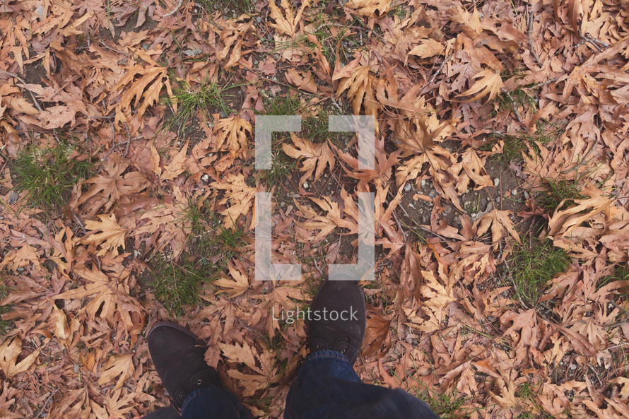 shoes standing in fall leaves 