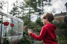 child playing with flowers and seeds by a greenhouse 