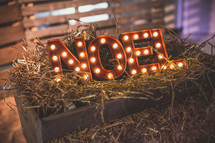 word Noel in a manger 