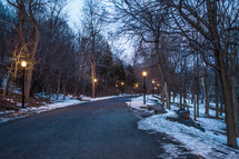 street lamps along a snowy road 