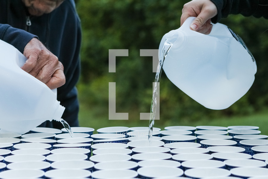 pouring water into cups 