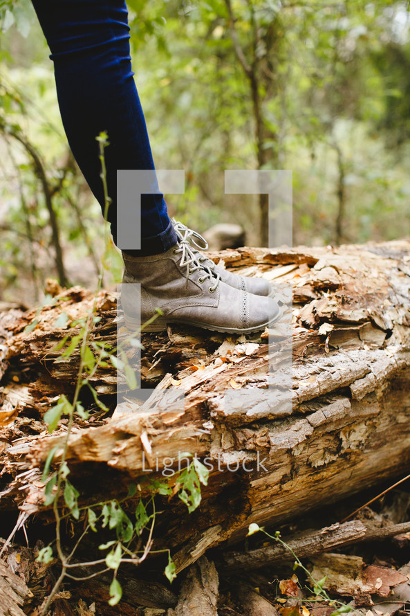 legs, jeans, boots, standing, outdoors, log, fallen tree 