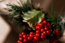 red holly berries 