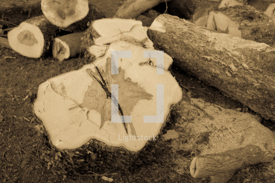 cut logs 