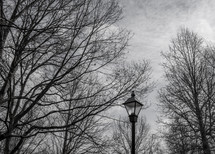 street lamp under a winter sky