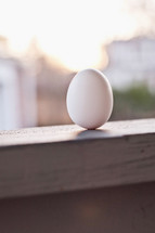 egg in a window sill 