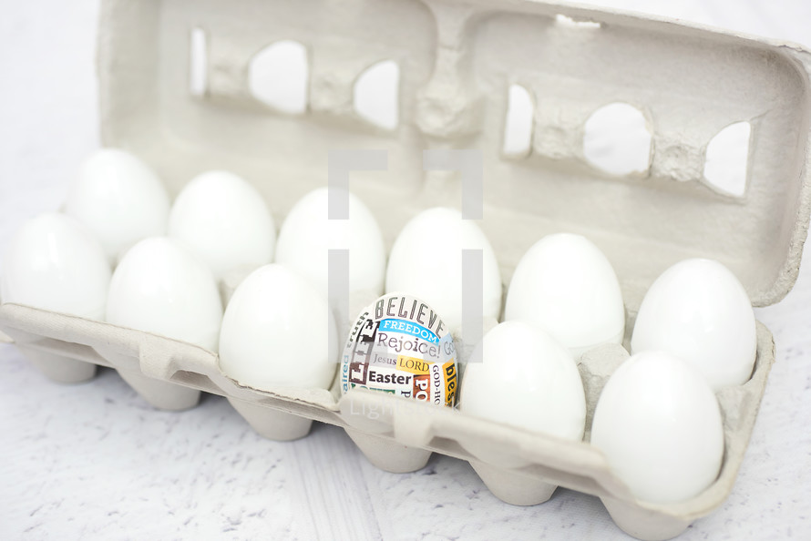 Easter egg in an egg carton full of plain white eggs 