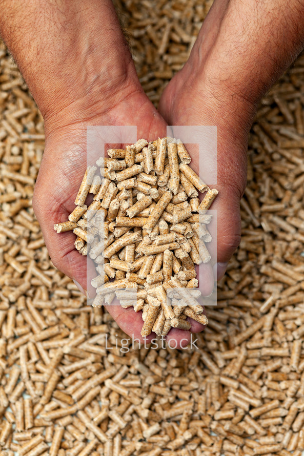 Alternative biofuel from sawdust wood pellets in hands.