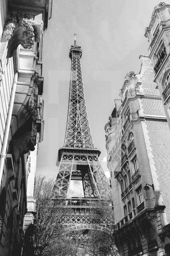 view of the Eiffel tower between buildings 