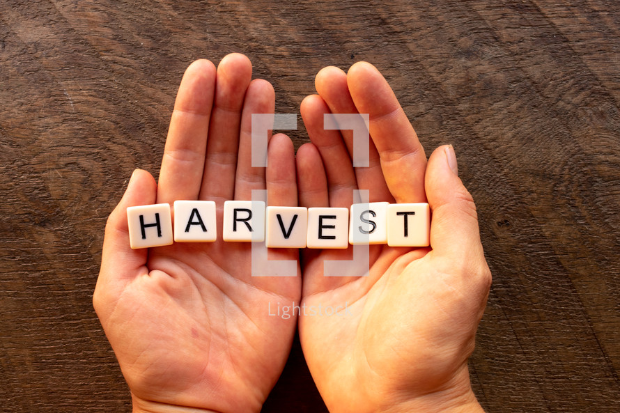 cupped hands with the word harvest 