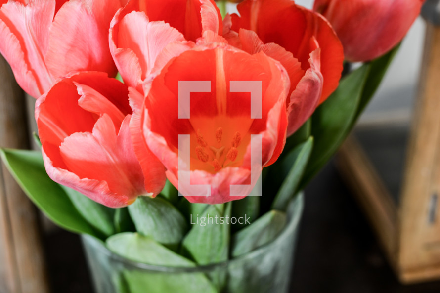 A vase of red tulips.