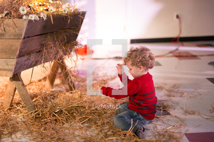 a toddler boy playing in straw by a manger 