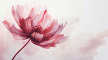 A flower in Watercolor Style