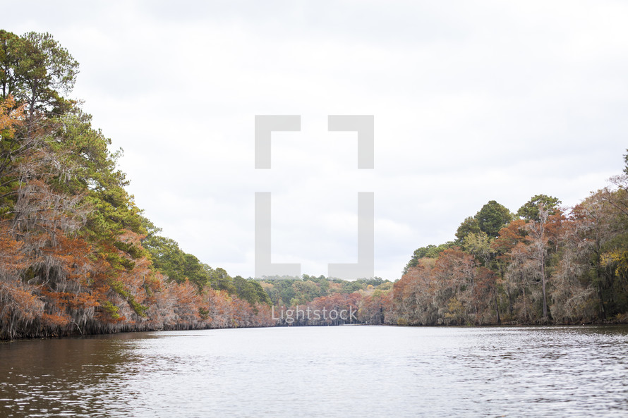 fall trees lining a lake shore 