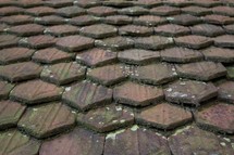 mossy tile roof 