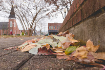 fall leaves along a sidewalk 