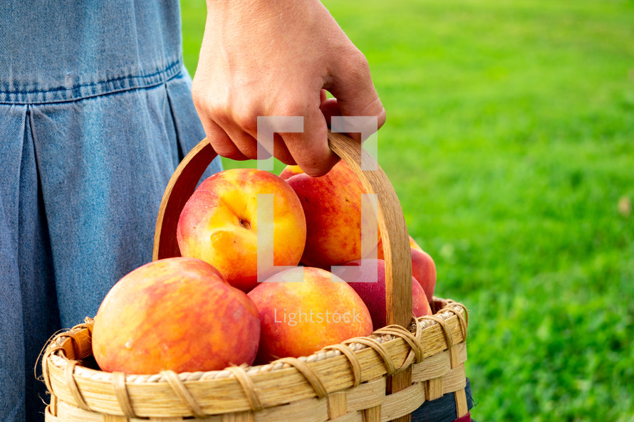 girl carrying a basket of peaches 