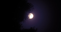 purple moon in the night sky 