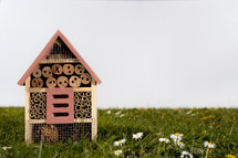 beehouse in grass