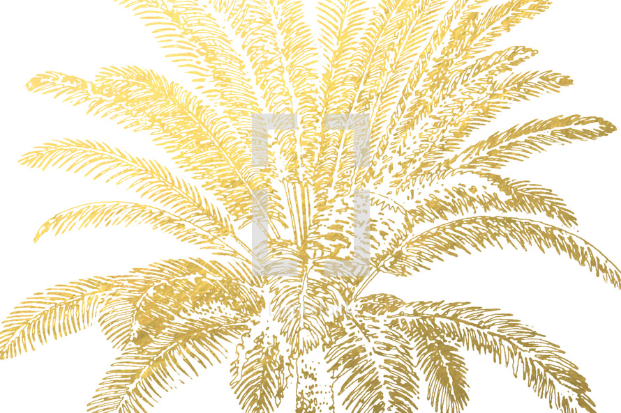 gold palm tree 