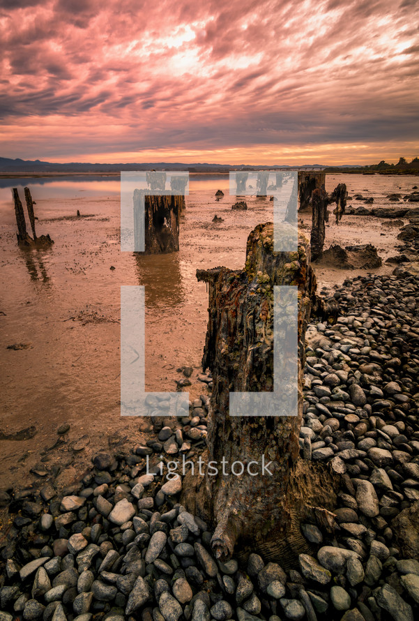 old pier pilings on a beach shore 