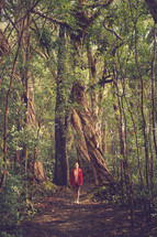 a woman standing on a trail in a rainforest 