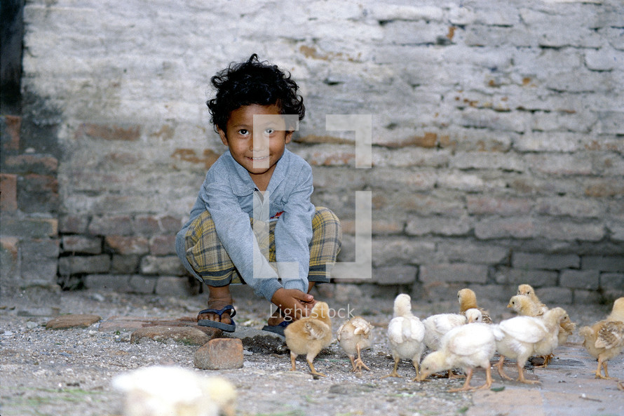 Little boy playing with baby chicks on a dusty pavement 