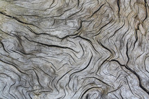 gray wood grain background 