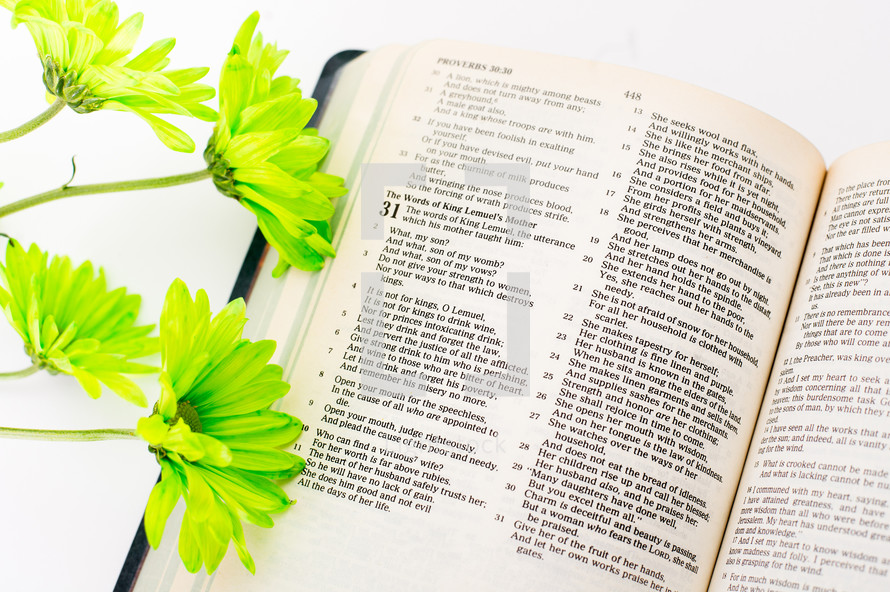 Green flowers on an open Bible.