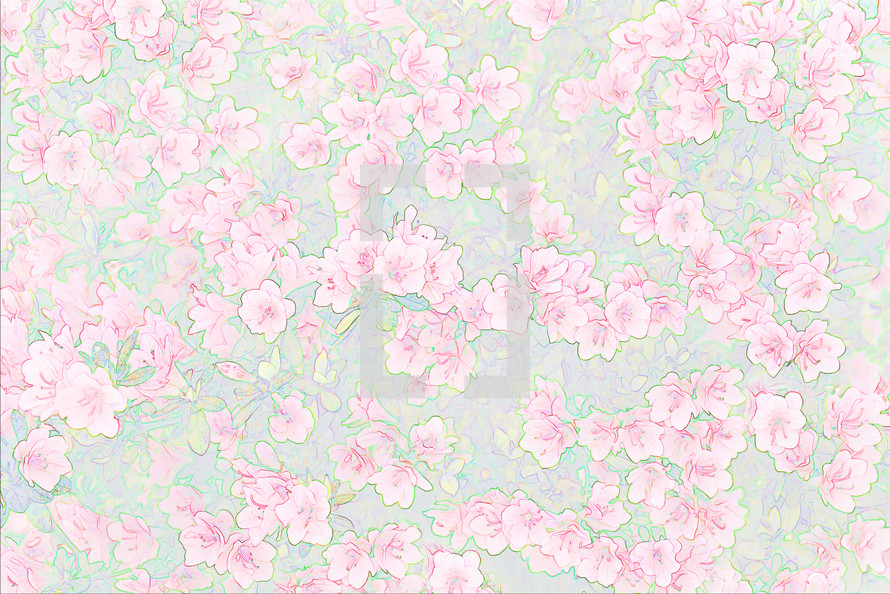 floral wallpaper 