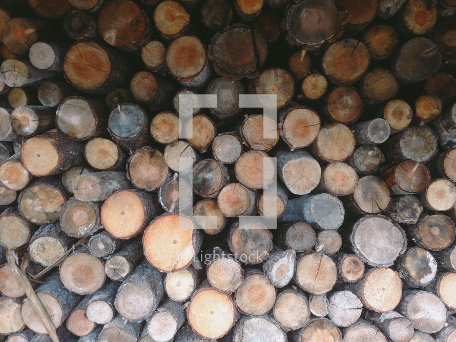 stack of firewood 