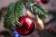 A red Christmas ball hanging from a tree bough, reflecting the family in the room.