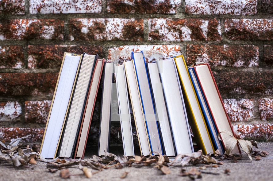 row of books and dead leaves 