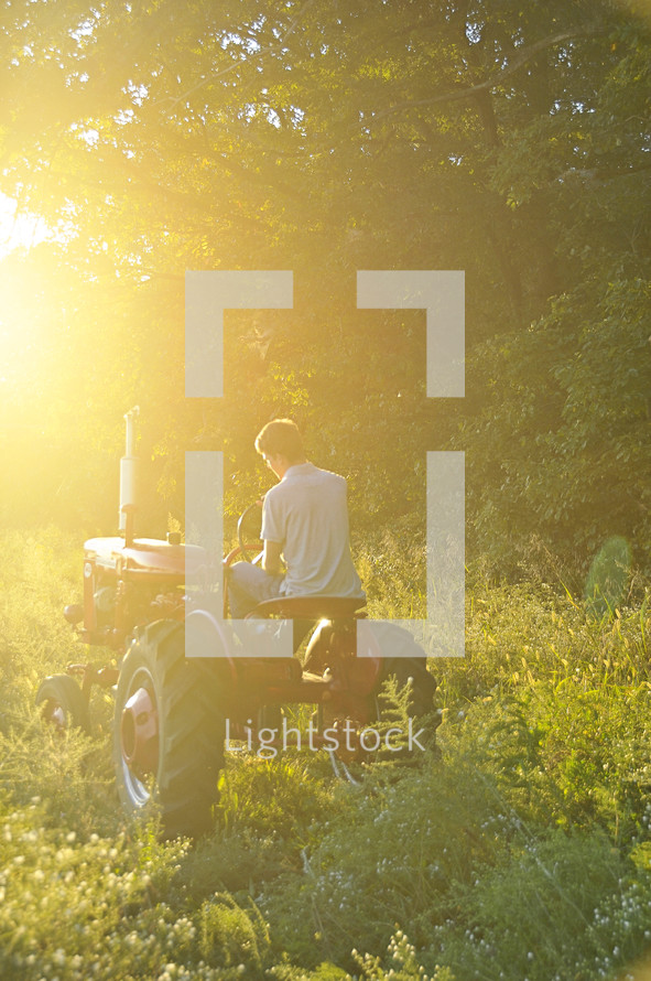 Man driving tractor in grass field