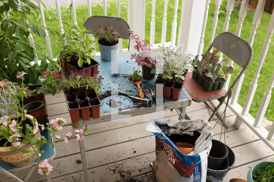planting flowers on a porch 
