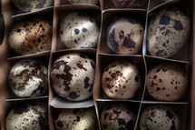 box of decorated eggs 
