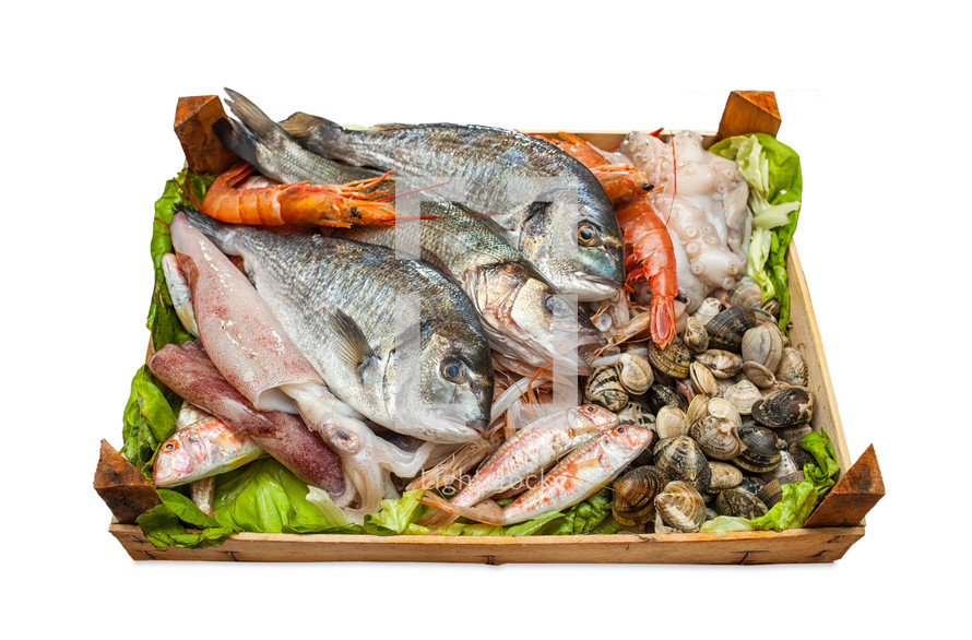 Box of fresh fish and clams isolated on white background