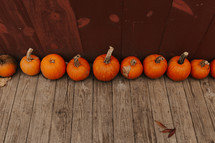 row of orange pumpkins 