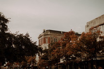 downtown and fall trees 