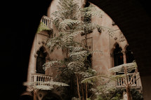 trees growing in a courtyard 