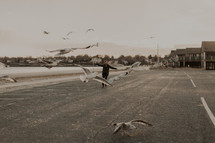 a man chasing seagulls 