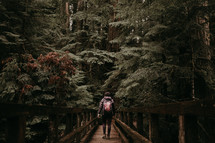 a man standing on a foot bridge in a forest 