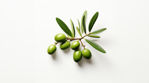 An Olive branch with green olives on it. Set against a white background