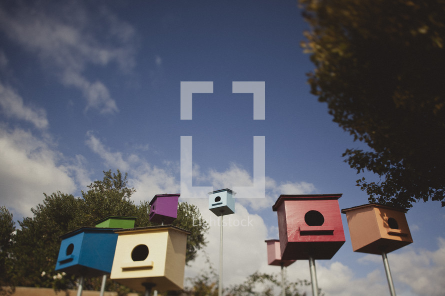 Different colored bird houses 