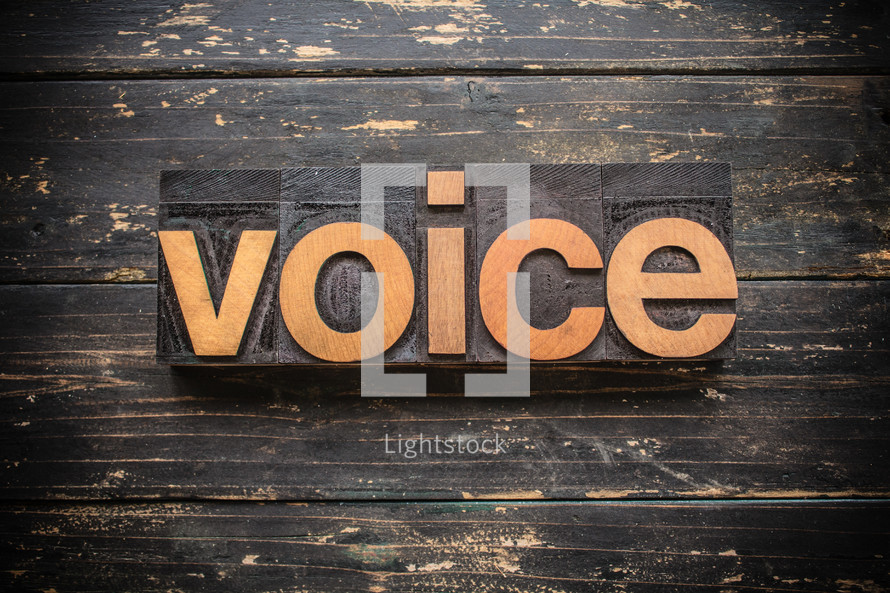 voice 