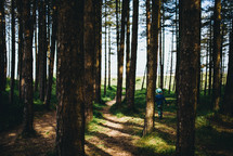 a boy walking through a forest 