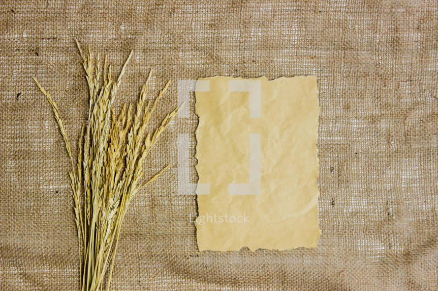 bouquet of wheat, stationary, an envelope on linen 