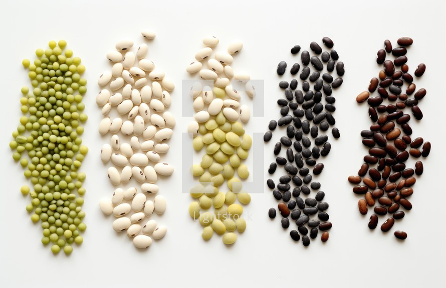 variety of beans and lentils on a white background, top view