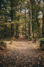Path on autumn